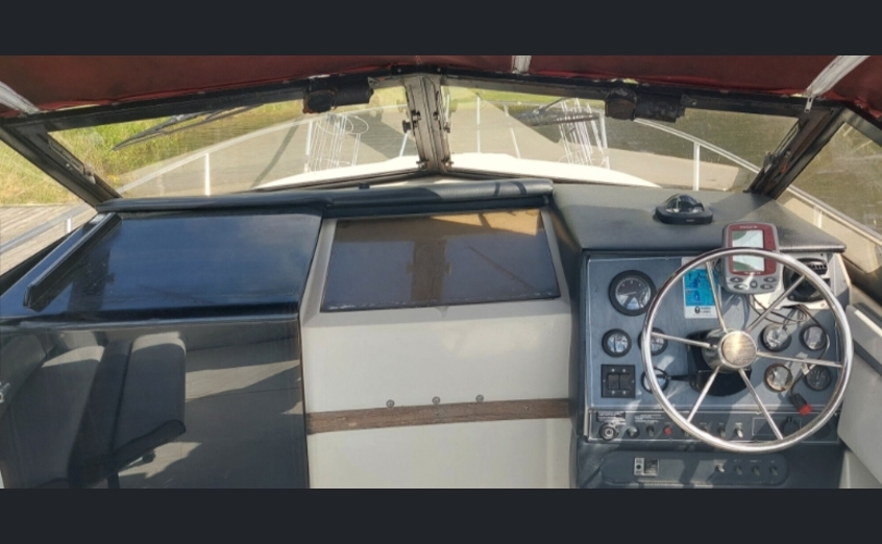 Regal 255XL AMASSADOR-kuva-3